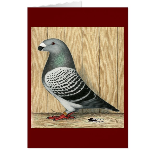 Afficher le contrôle du support racer (Devant)