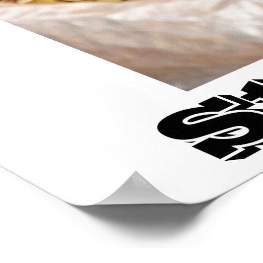 affiches anti-tabac (Coin)