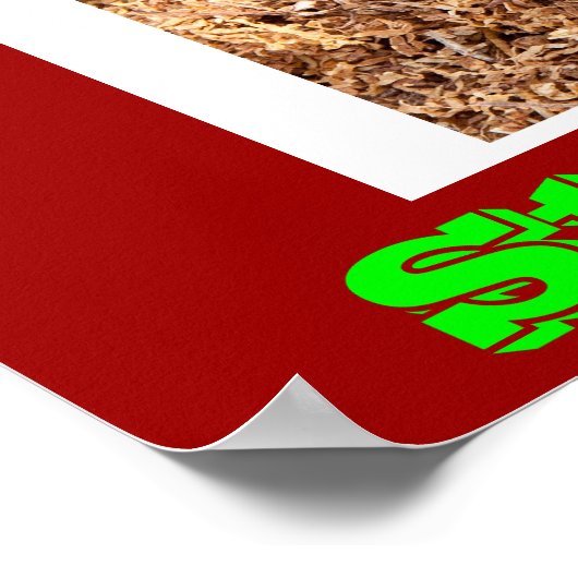 affiches anti-tabac sur Green (Coin)