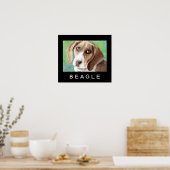 Affiches Beagle (Cuisine)