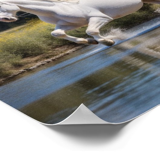 Affiches cool (Coin)