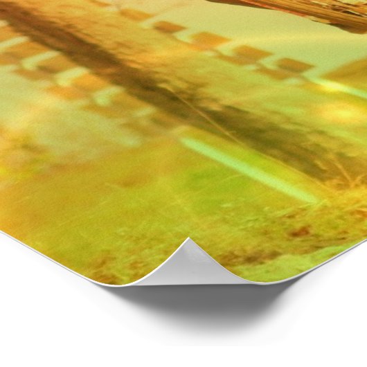 Affiches cyclistes (Coin)