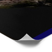 Affiches d'animaux (Coin)