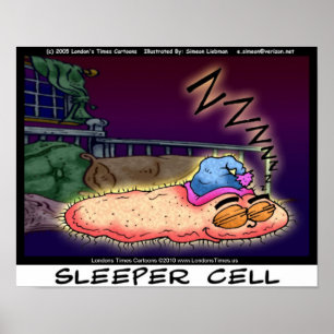 Affiches d'art à collectionner drôles de Sleeper C