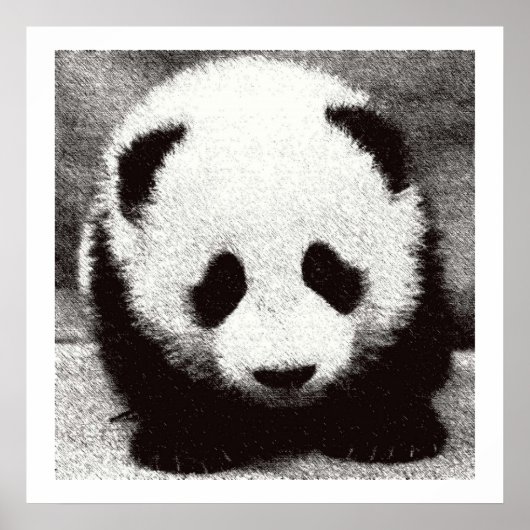 Affiches d'art de bébé panda (Devant)