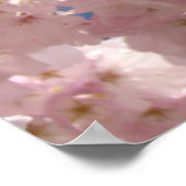 affiches d'art floral de printemps Fleurs de ceris (Coin)