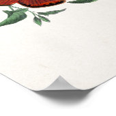 Affiches d'art mural papillons Style artistique vi (Coin)