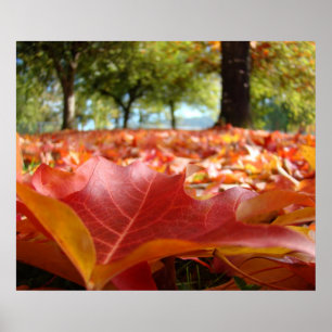 Affiches d'art uniques Impressions d'automne Affic