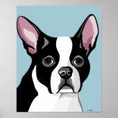 Affiches de Boston Terrier (Devant)
