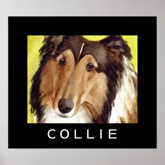 Affiches de chien Collie (Devant)
