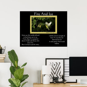 Affiches de colibri du feu et de glace