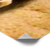 Affiches de cookies aux pépites de chocolat (Coin)