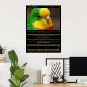 Affiches de Desiderata Rainbow Canaries (Bureau à domicile)