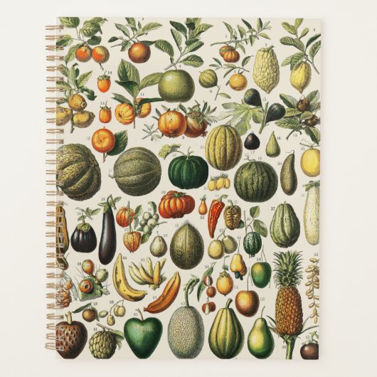 Affiches de fruits botaniques français vintage (Devant)