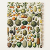 Affiches de fruits botaniques français vintage (Dos)