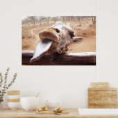 AFFICHES DE GIRAFFE - HORS D'AFRIQUE - IMPRIMANTES (Cuisine)