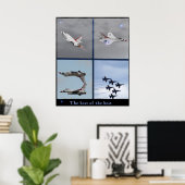 Affiches de la Force aérienne Jets (Bureau à domicile)