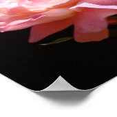 Affiches de l'AIIC Assistants en soins infirmiers (Coin)