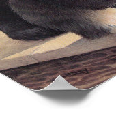 affiches de peinture de chats (Coin)