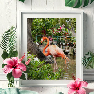 Affiches de photographie de photos de voyage en Fl