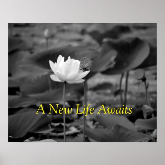 Affiches de plaidoyer contre la violence familiale (Devant)