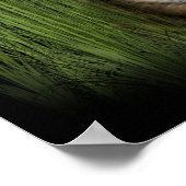 affiches de tigres et de petits (Coin)