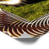 Affiches de vieux tracteurs (Coin)