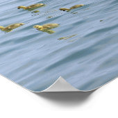 Affiches décoratives (Coin)