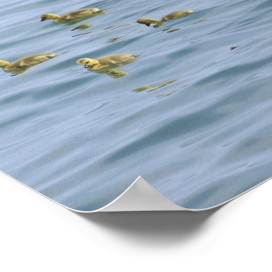 Affiches décoratives (Coin)