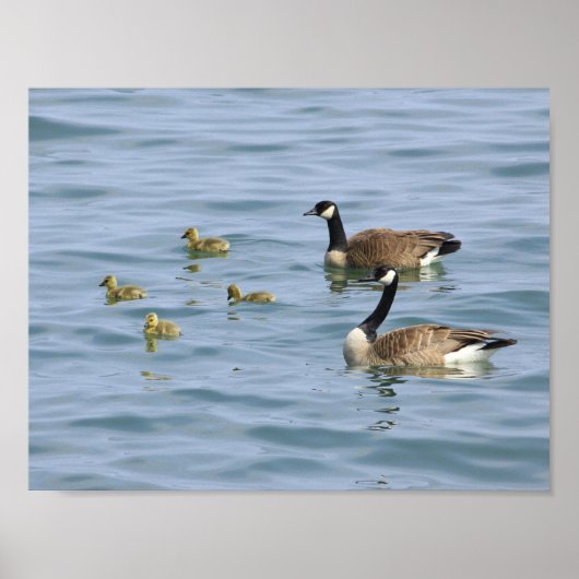 Affiches décoratives (Devant)