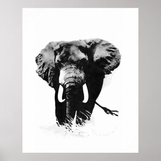 Affiches d'éléphants en noir et blanc (Devant)