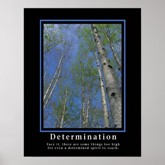 Affiches démotivationnelles ... Détermination (Devant)