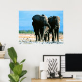 Affiches des éléphants (Bureau à domicile)