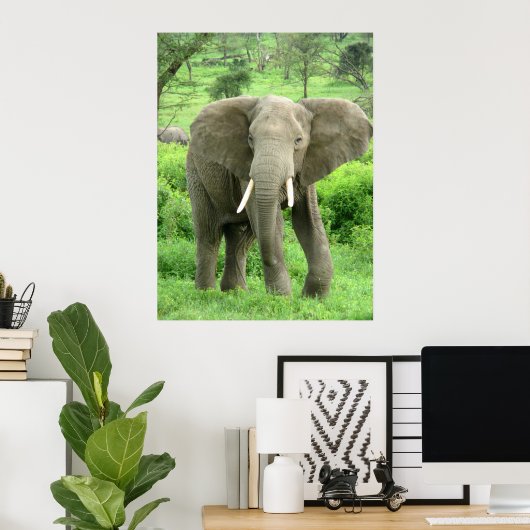 Affiches des éléphants (Bureau à domicile)