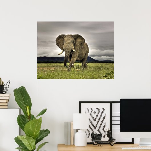 Affiches des éléphants (Bureau à domicile)