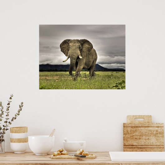 Affiches des éléphants (Cuisine)