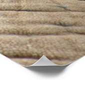 Affiches des éléphants (Coin)