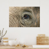 Affiches des éléphants (Cuisine)