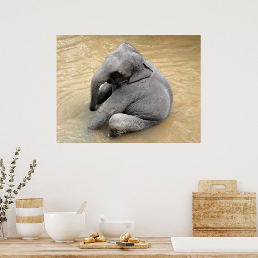 Affiches des éléphants (Cuisine)