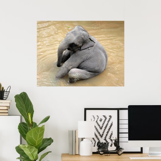 Affiches des éléphants (Bureau à domicile)