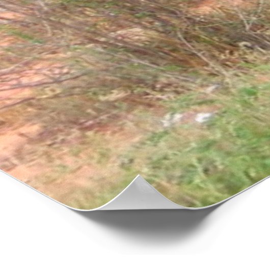 Affiches des éléphants (Coin)