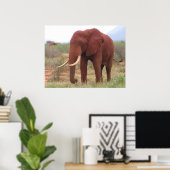 Affiches des éléphants (Bureau à domicile)