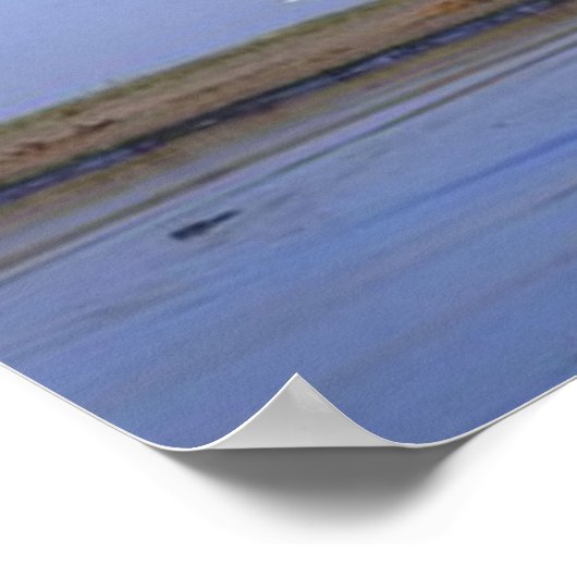 Affiches des éléphants (Coin)