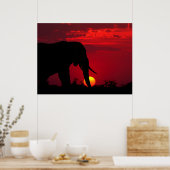 Affiches des éléphants (Cuisine)