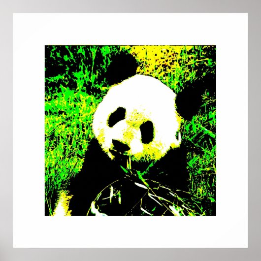 Affiches d'impression Panda - Affiche de Panda en (Devant)