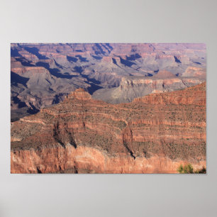 Affiches du Grand Canyon