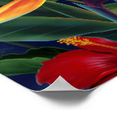 Affiches du paradis tropical (Coin)