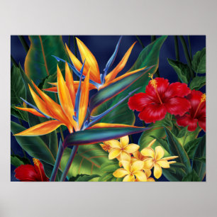 Affiches du paradis tropical