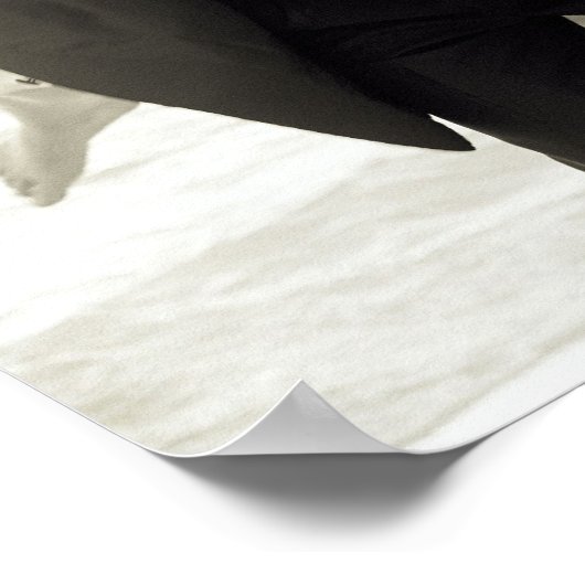 Affiches du parti (Coin)