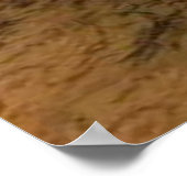 Affiches et impressions (Coin)